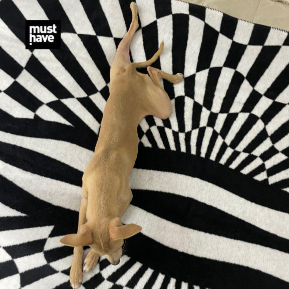 COTTON OP-ART BLANKET