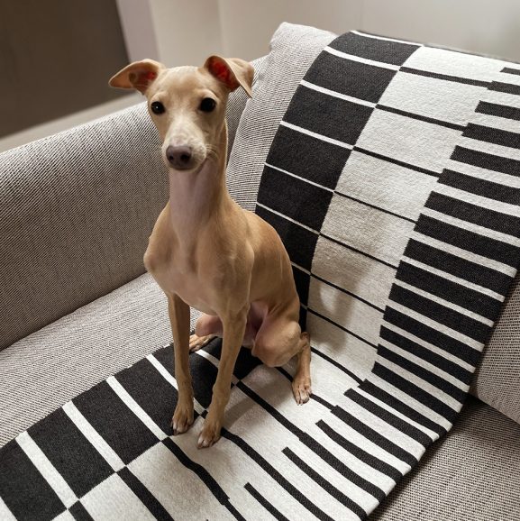 OP-ART BEDCOVER