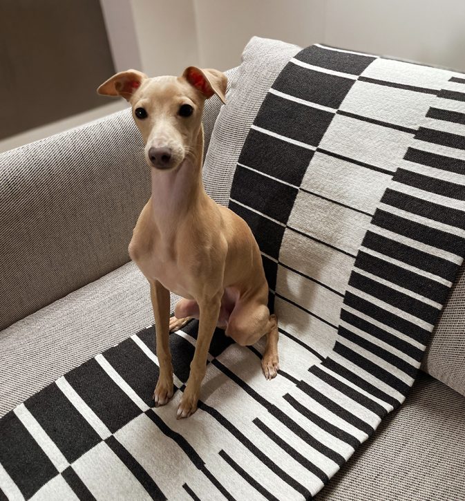PianoForte_detal3 | Hogai Narzuta op-art pianoforte 165x210 cm projektu maurycego gomulickiego dla hogai – nagrodzona must have na Łódź design festival.