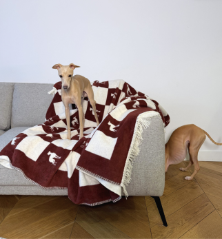 Bawełniany koc Burgundy Lola z kolekcji Iggy – designerski pled HOGAI z motywem psa - we wnętrzu