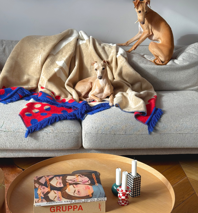 Bawełniany koc Cream Kokos z kolekcji Iggy – designerski pled HOGAI z motywem psa - we wnętrzu