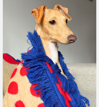 Bawełniany koc Cream Kokos z kolekcji Iggy – designerski pled HOGAI z motywem psa - we wnętrzu