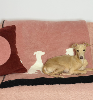 Bawełniany koc Cream Cukier z kolekcji Iggy – designerski pled HOGAI z motywem psa - detal.
